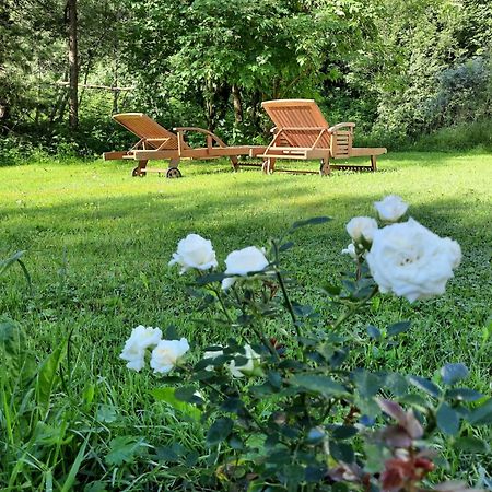 Hotel Gaestepension Edeltraud Hirschegg  Esterno foto