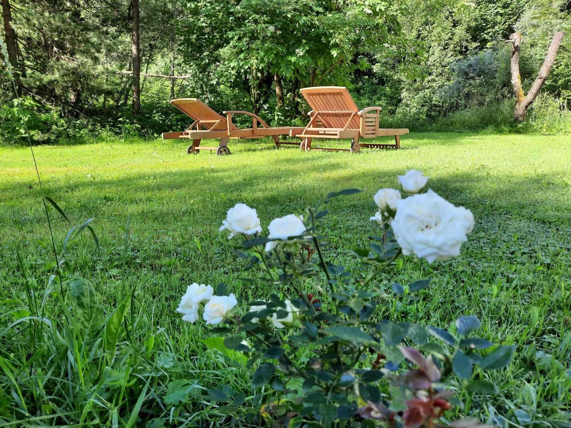 Hotel Gaestepension Edeltraud Hirschegg  Esterno foto