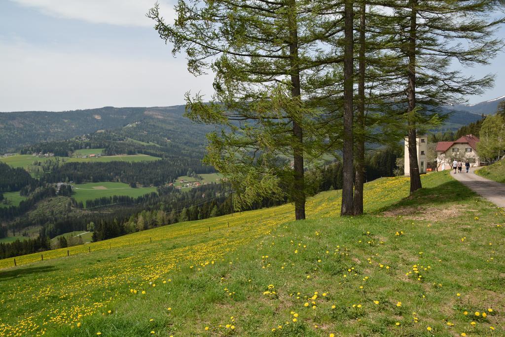 Hotel Gaestepension Edeltraud Hirschegg  Esterno foto