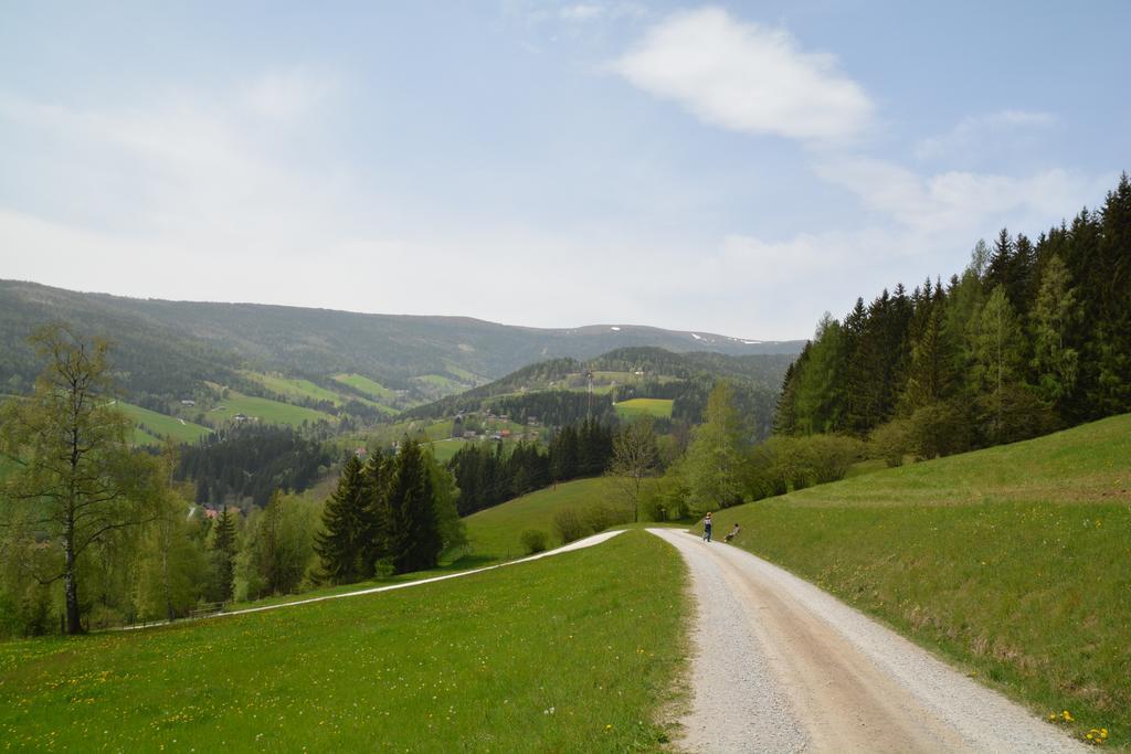 Hotel Gaestepension Edeltraud Hirschegg  Esterno foto