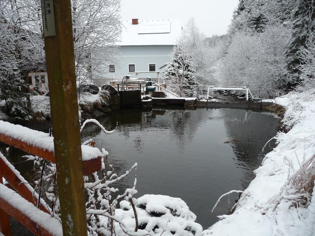 Hotel Gaestepension Edeltraud Hirschegg  Esterno foto
