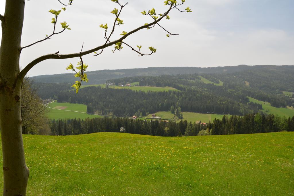 Hotel Gaestepension Edeltraud Hirschegg  Esterno foto
